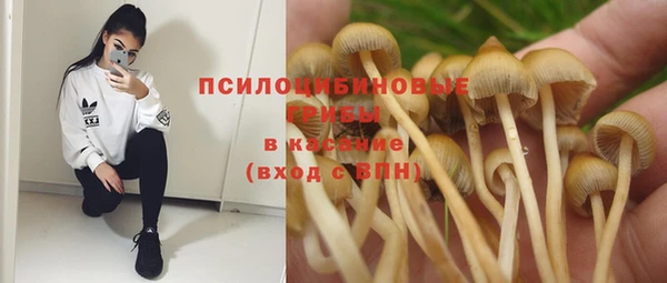 прущая мука Магас