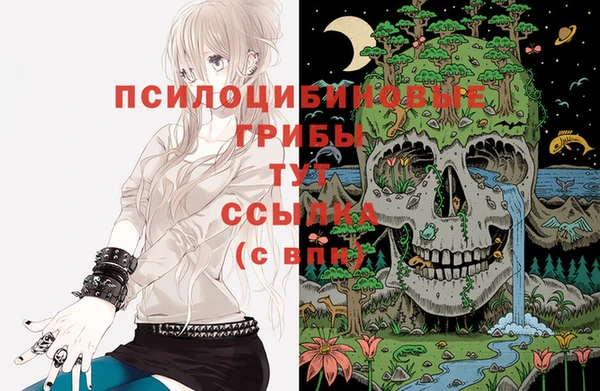 трава Магадан