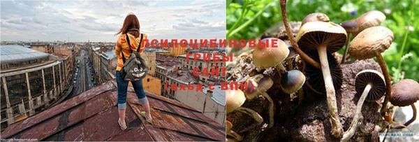 прущая мука Магас