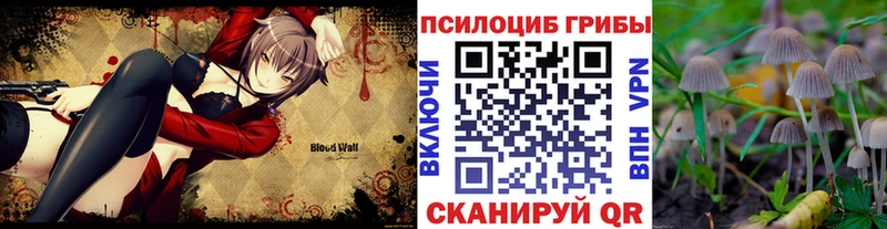 купить наркоту  Усинск  Псилоцибиновые грибы ЛСД 
