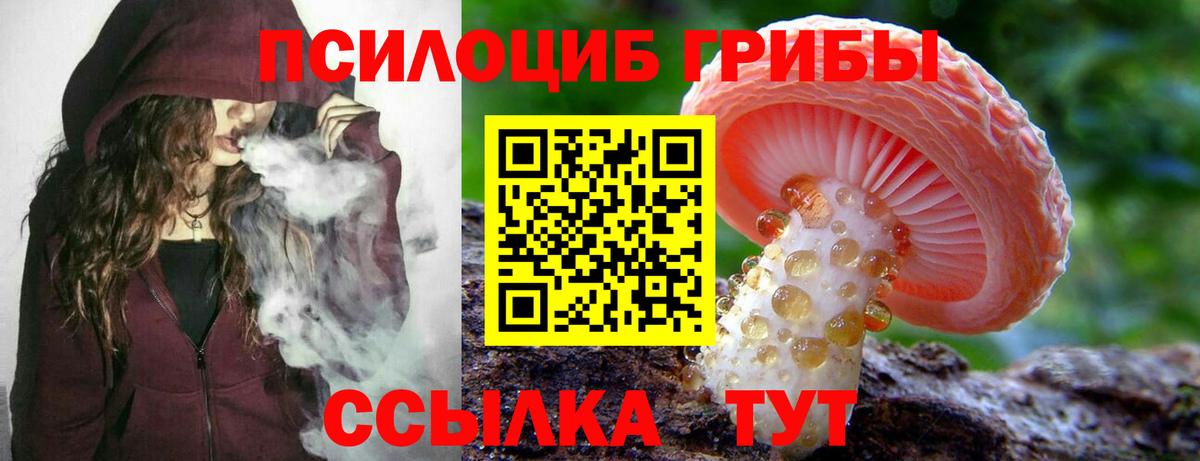 Усинск  Псилоцибиновые грибы MAGIC MUSHROOMS  Вход с VPN 